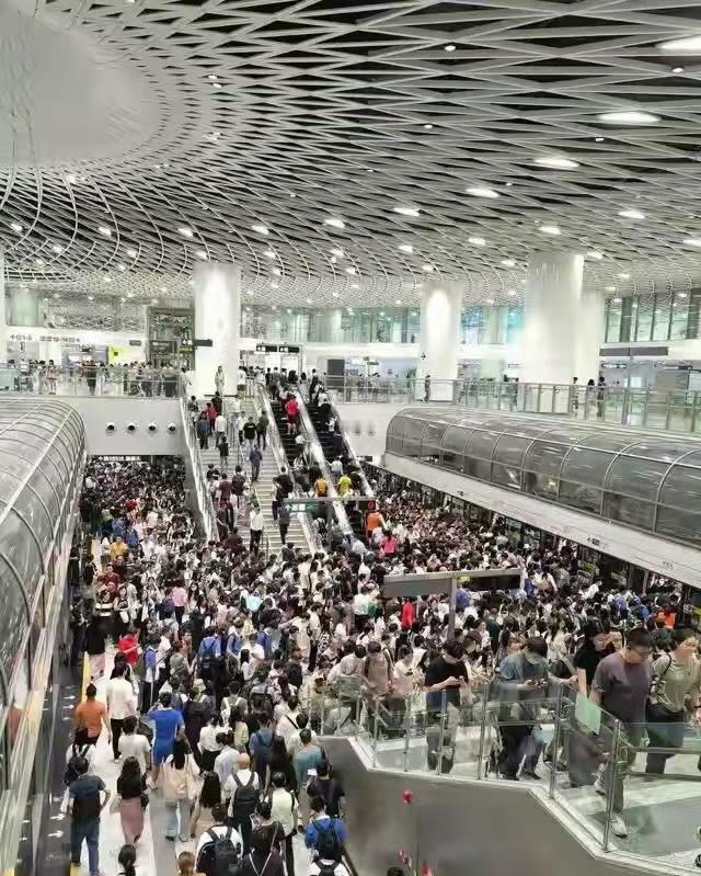 发现一个规律！凡是普通家庭的孩子，最听话。他们温顺有礼，还特别懂得谦让，