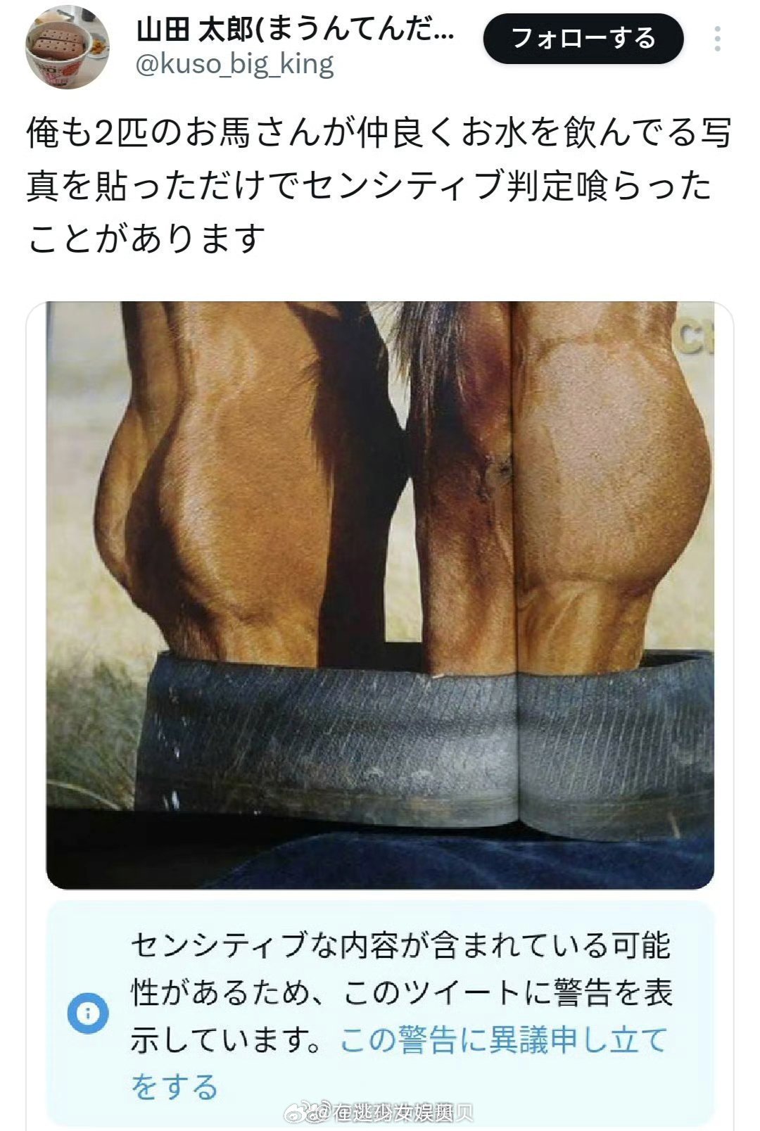 我也曾因为发了张两匹马亲密喝水的照片而被系统判定为敏感内容