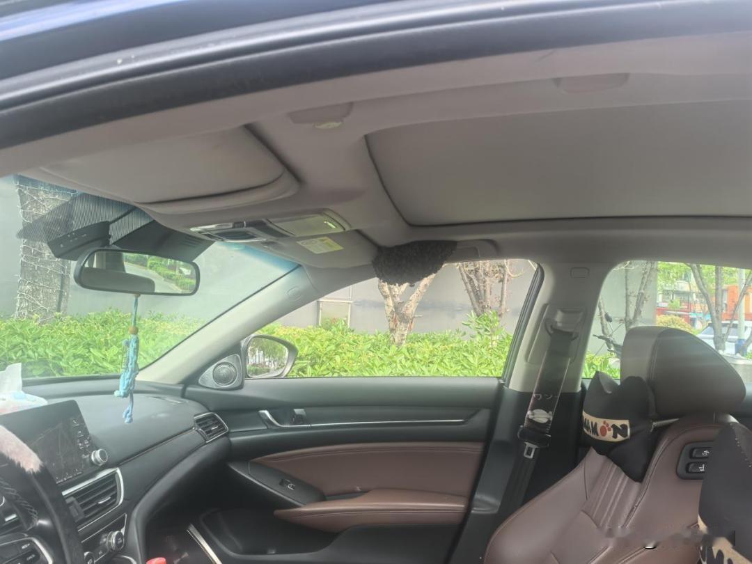 就15分钟！杭州男子忘关车窗，回来一看车里直接傻眼了。杭州汪先生最近真被吓