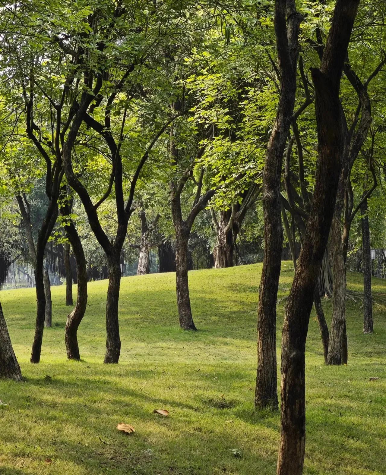 普通人一辈子能存多少钱，真没个准数，像我这72年的，今年53岁，手里也就50来万