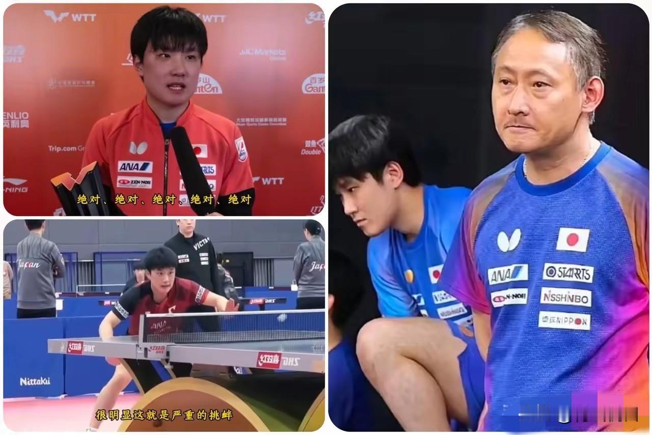 看了张本智和的最新争议，真觉得这小伙子把路走绝了。跑去参拜供奉甲午战争日舰司