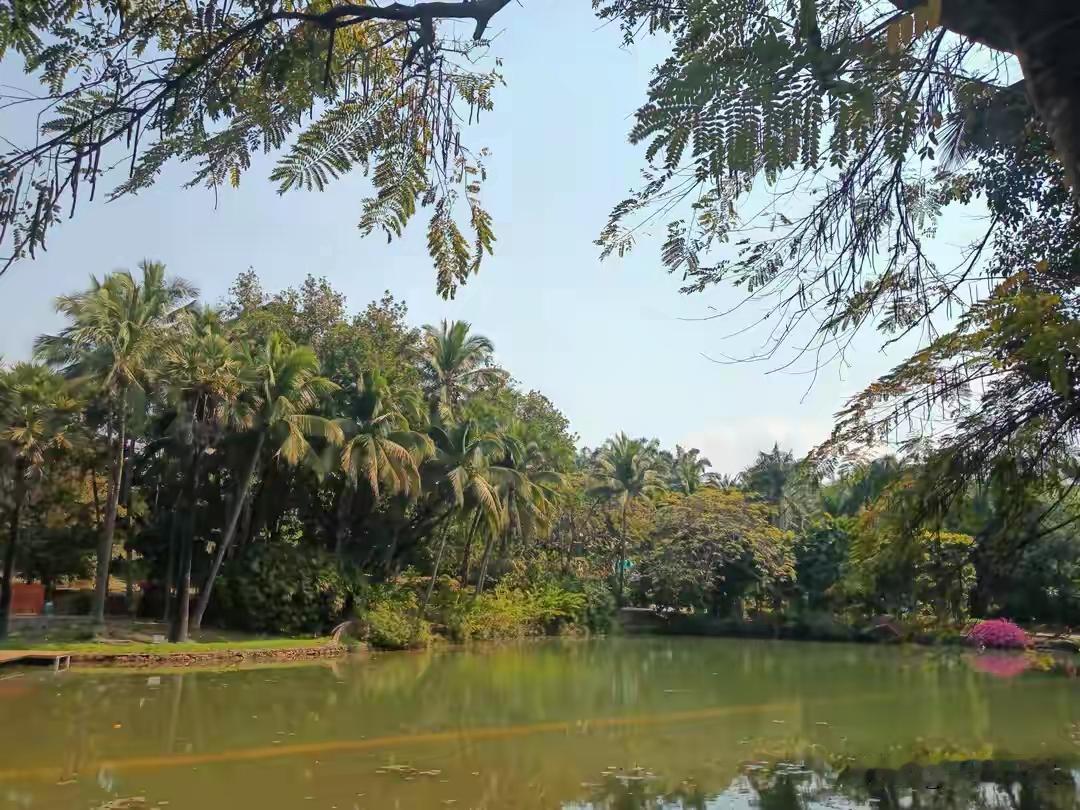 浙江46岁硬汉云南打拼十年攒下百万身家，女儿一句哭喊令他深夜决裂：砸碎事业也要回