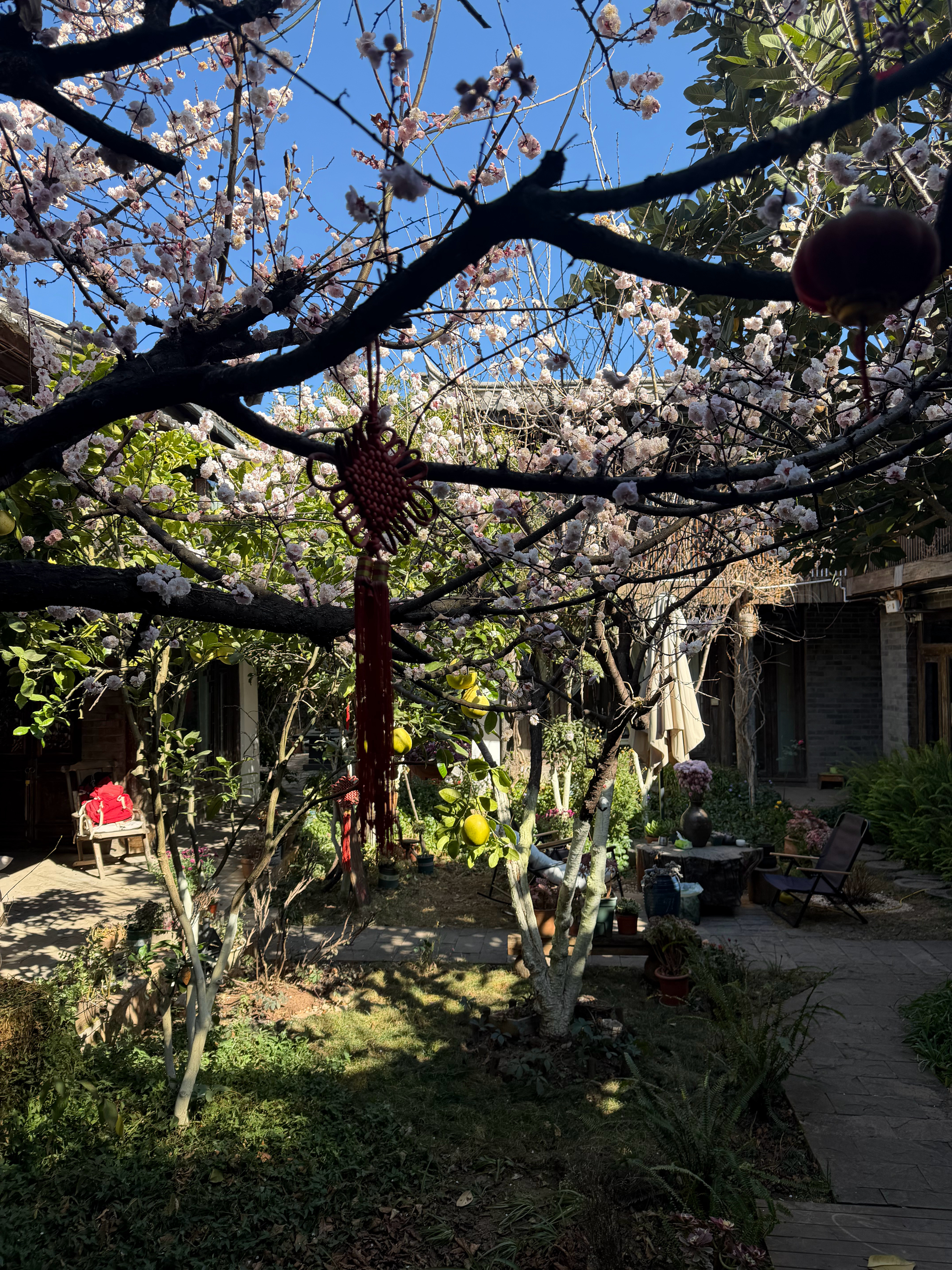 春天来的时候享受绽放，冬天来的时候享受蕴藏。人生是一辈子，绝不只是活几个瞬间。—