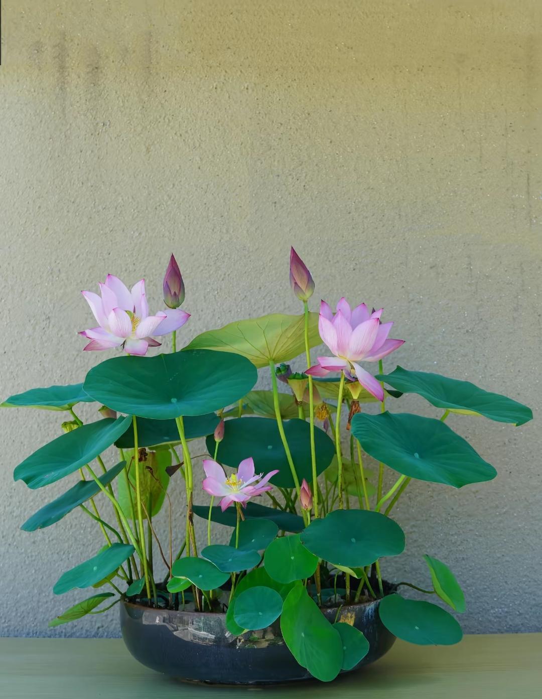 殡葬师含泪忠告：人离世后，千万别再买寿衣了！很多人一辈子都想错了一位从业多