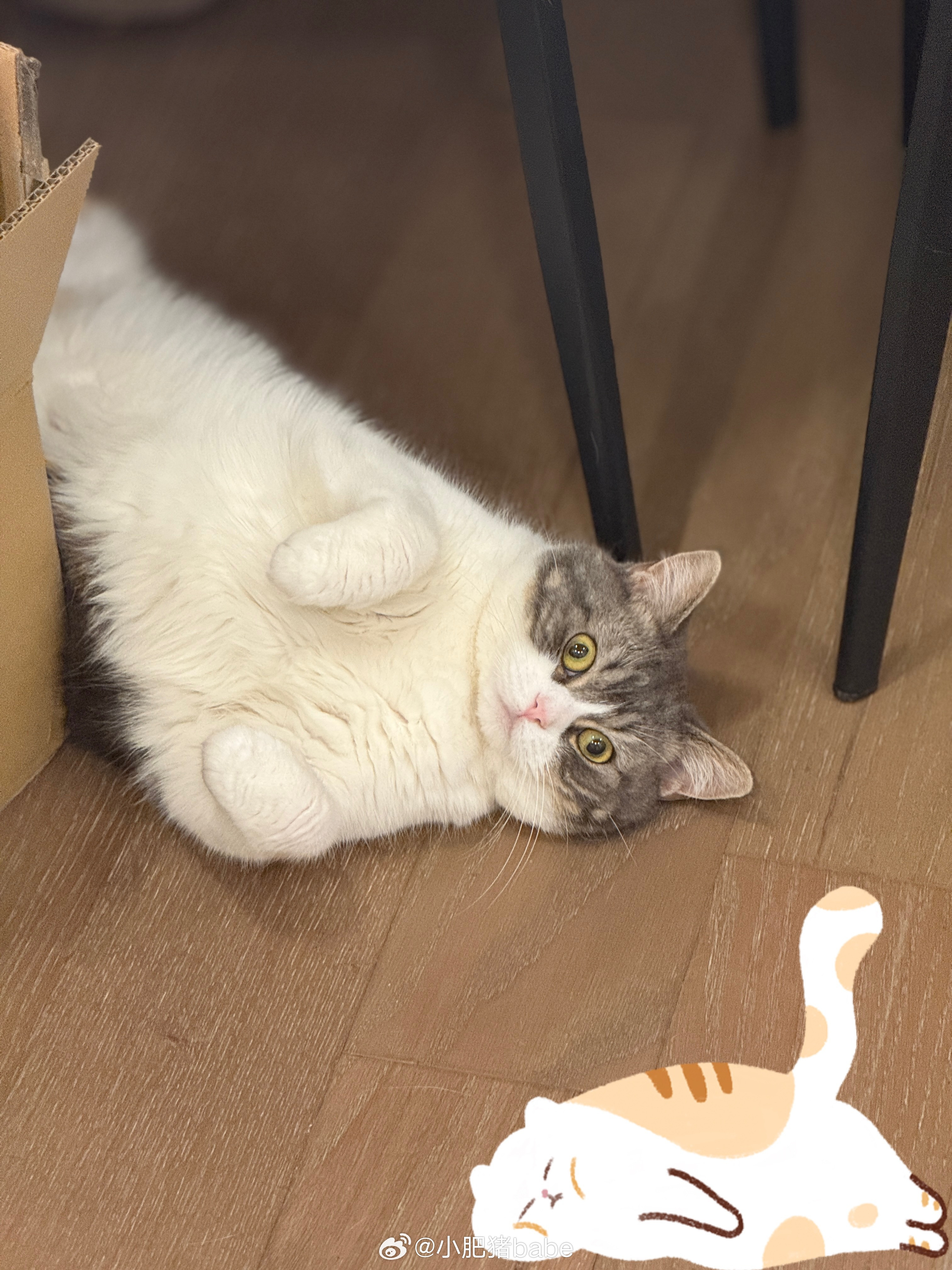 家里不能停卡车​​​