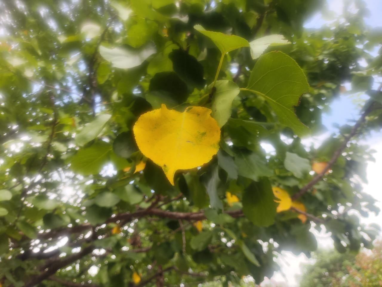 很长时间不见这样的“人”了，今天却又看到了。看来，这段时间网络的乌烟瘴气，有这一