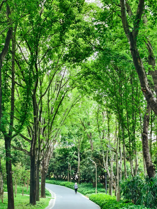 深圳冷门但非常舒服的公园🌿地铁直达
