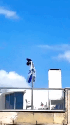 希子如果活过来看到以色列咔咔一顿乱杀，大概会说：这是什么地狱景象？造反天罡了吗？