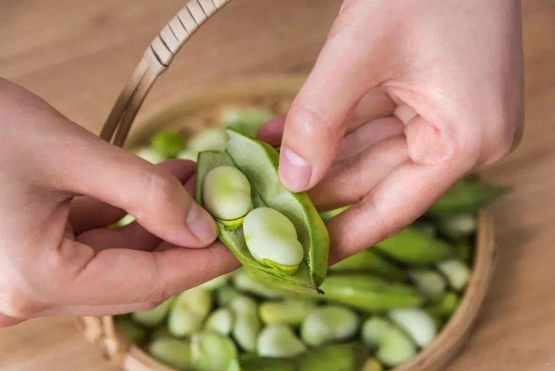 吃蚕豆以前上海人吃蚕豆，是件有“节气”的大事情，非常讲究。上海人吃蚕豆，最好