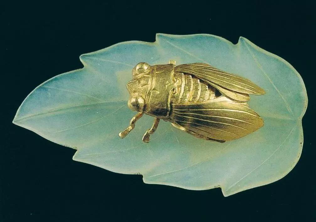 明代弘治年间，62岁进士张安晚迎娶了17岁的女子，作为第四房妾室。五百年后，一男