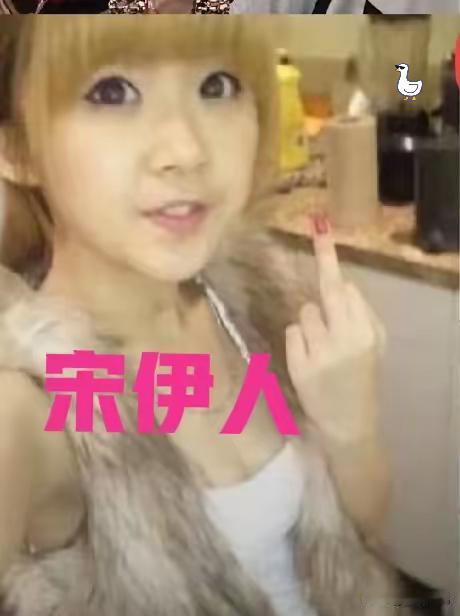 这个宋伊人什么来头？听说是北大研究生。可十几岁就是小太妹的她是怎么完