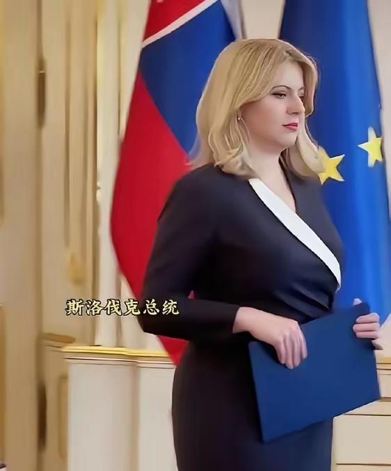 这应该是目前世界上最美的女总统了。提起世界各国的领导人，有位女总统总能靠独特气质