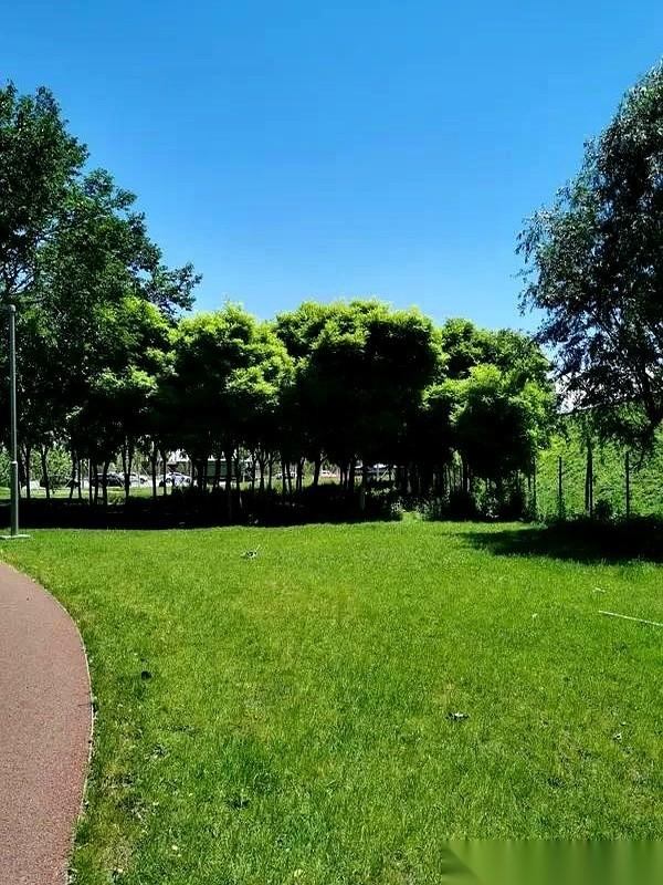 就在刚才，我做了一个决定：这辈子只要我还在写，提到家里那位，再也不会出现“老伴”