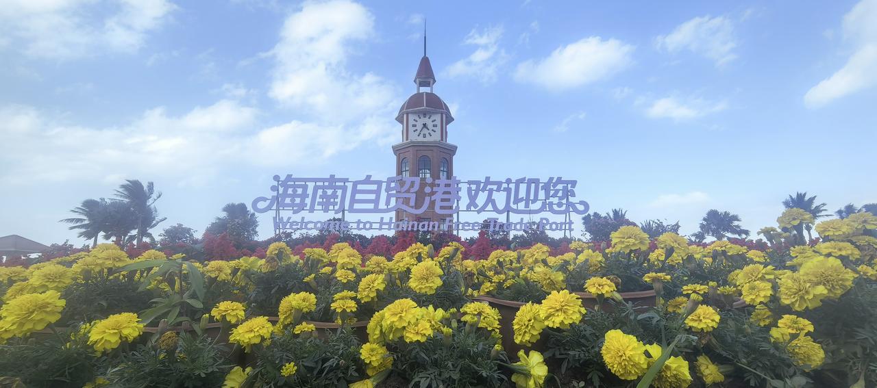 海南必将大热！据官方预测，今年春运（2月2日至3月13日）琼州海峡将运送车辆1