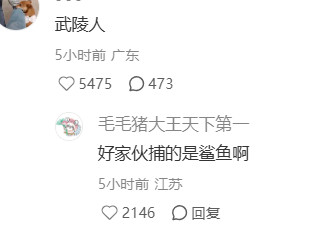 忍不住好奇这房子里住着怎样的人