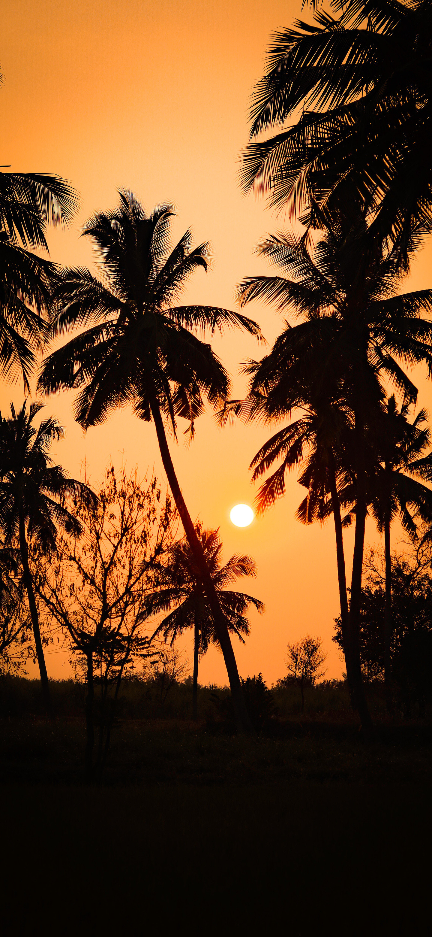 小伙伴早～一觉到现在，好久没睡的这么死了风景壁纸