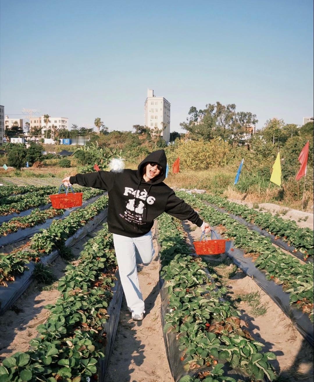 世界冠军回村摘草莓啦，1月11日，全红婵悄悄回了湛江迈合村，现身老家的草莓地里。