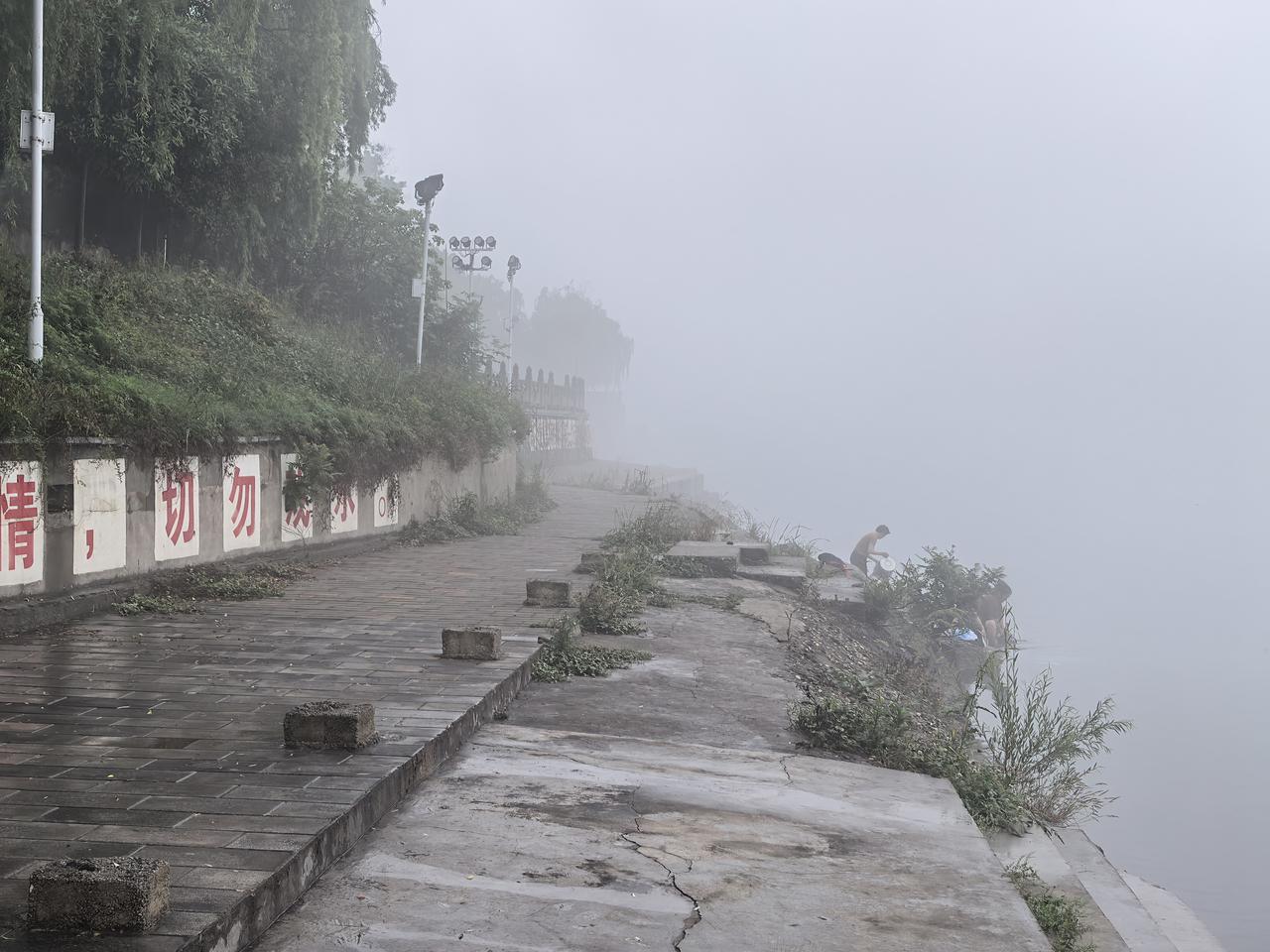圣人经过数十年的清静修养，终于采到天地之气，成为了仙人。圣人成仙以后，内心常常安