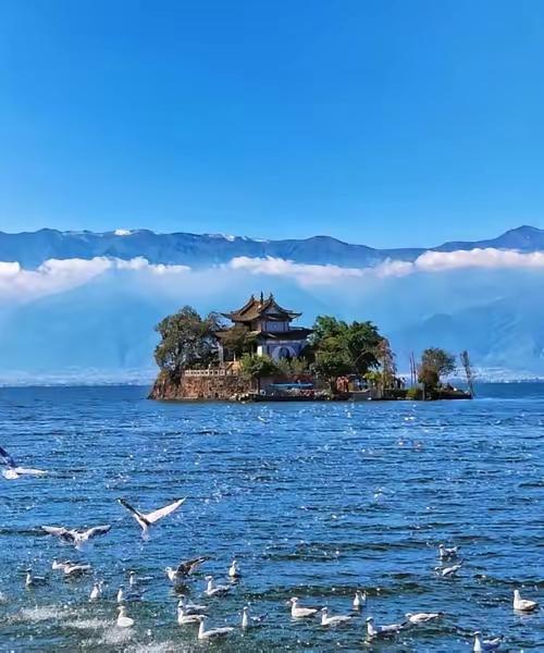 越来越多人不愿出门旅游，10个扎心现实原因​​1、车费、住宿费太贵，假设旅