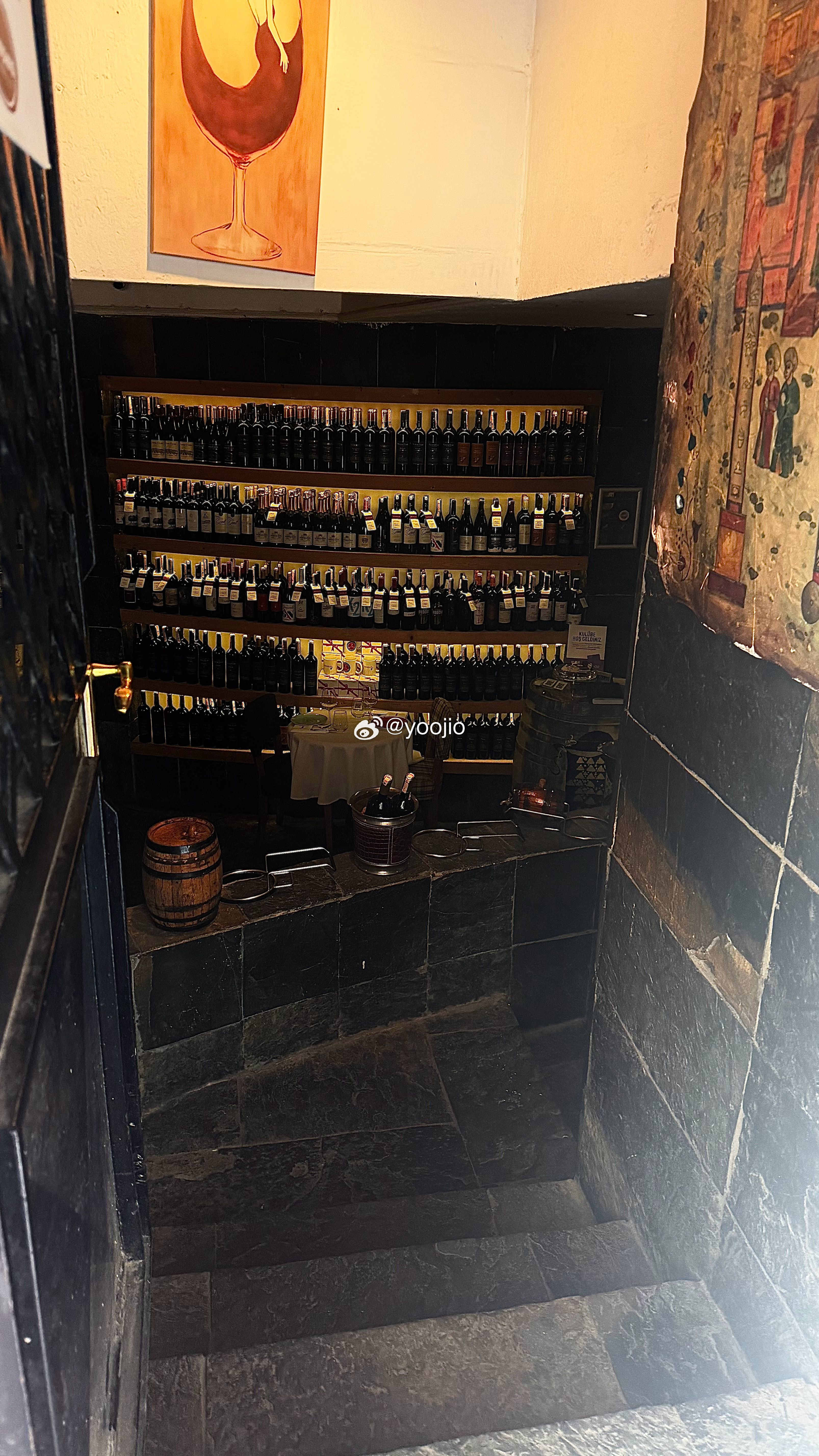 误闯猫猫国了…🐈随处可见慵懒自得的猫猫