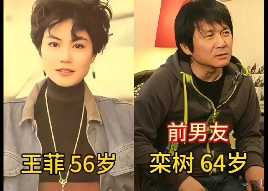 曾和王菲交往过的谢霆锋。曾和王菲交往过的王力勇。曾和王菲交往过的窦唯。曾和