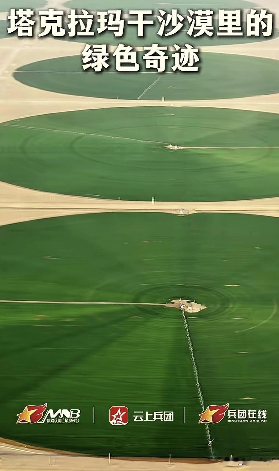 快看，快看，沙漠里也在偷偷的改变！根据人民日报报道称，新疆建设兵团在塔克拉玛干