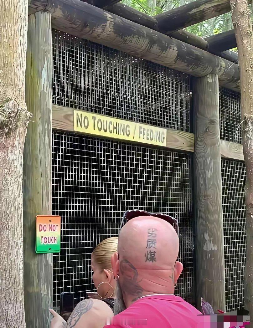 劣质煤国人看是贬义，外国人觉得是好玩儿，纹身师如果是中国人估计也会解释文字含义