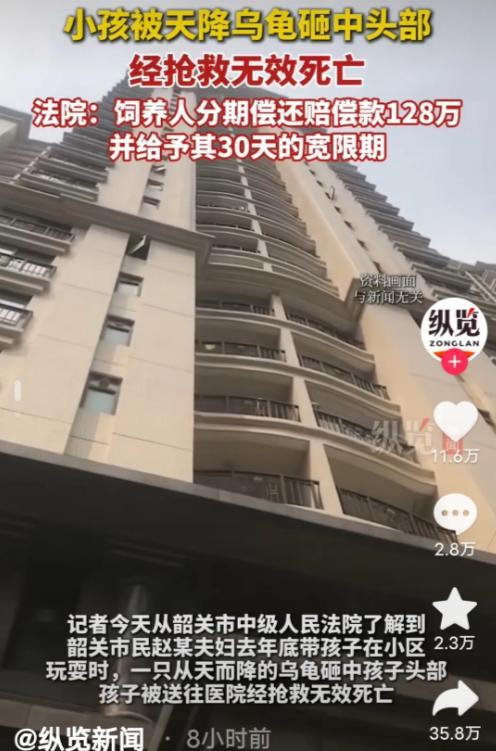一只小乌龟也能让人倾家荡产！广东韶关一对夫妇带着孩子在小区楼下玩耍，结果突然有一