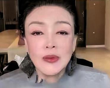 兰姐探孙风波：家事难断，孰是孰非。张兰想去看孙子，好像挺难的，去台湾受阻了，很