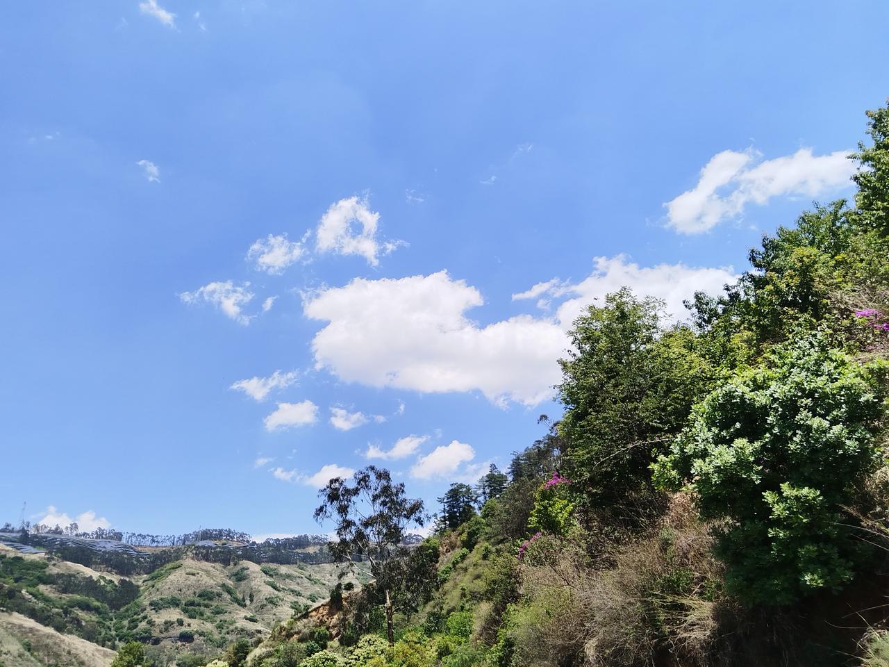 山顶看美景