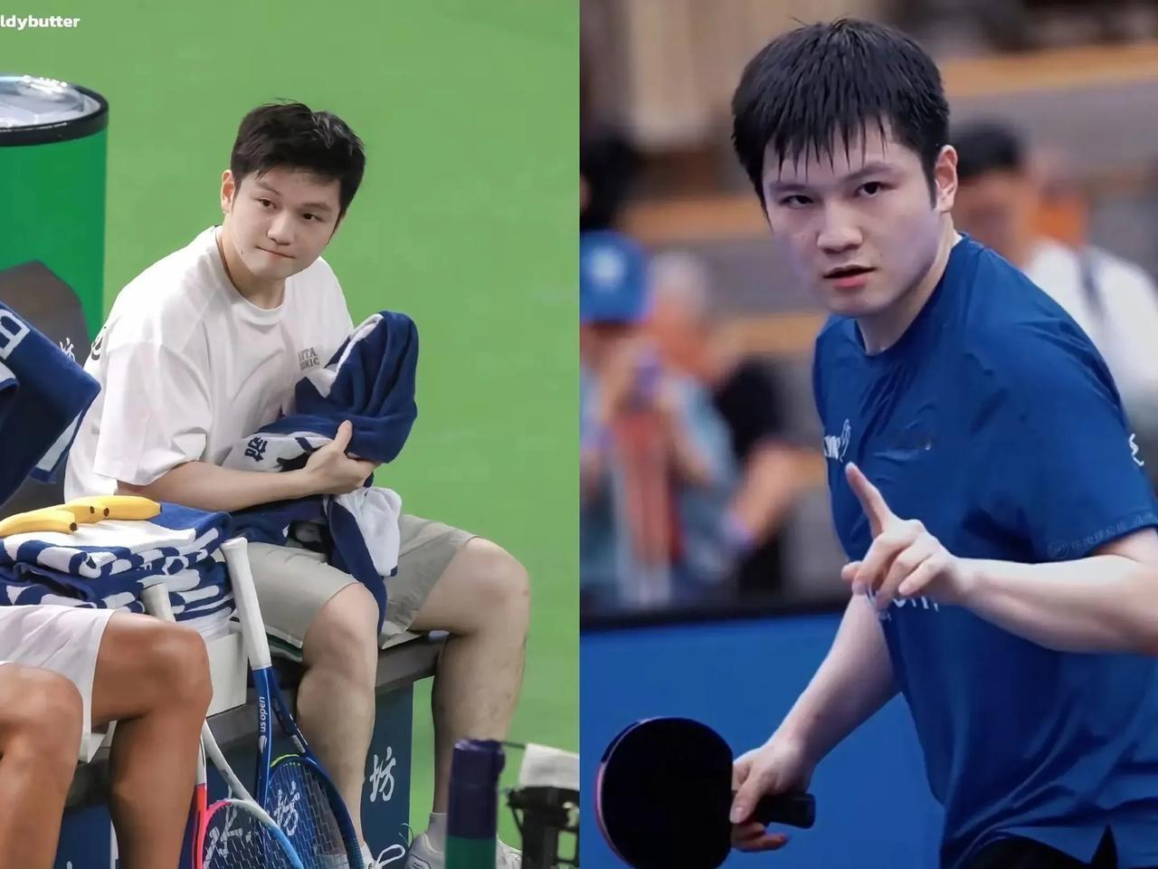 偶然看到某平台的一个提问：“你们手上有樊振东的黑料吗？提供有奖！”这