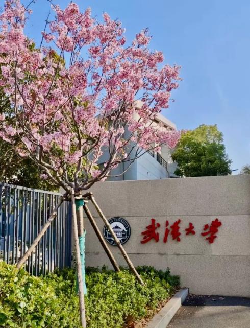 面对网络舆情，装死永远是最佳策略。这话放在武大图书馆事件里，像戳中了某种“应对