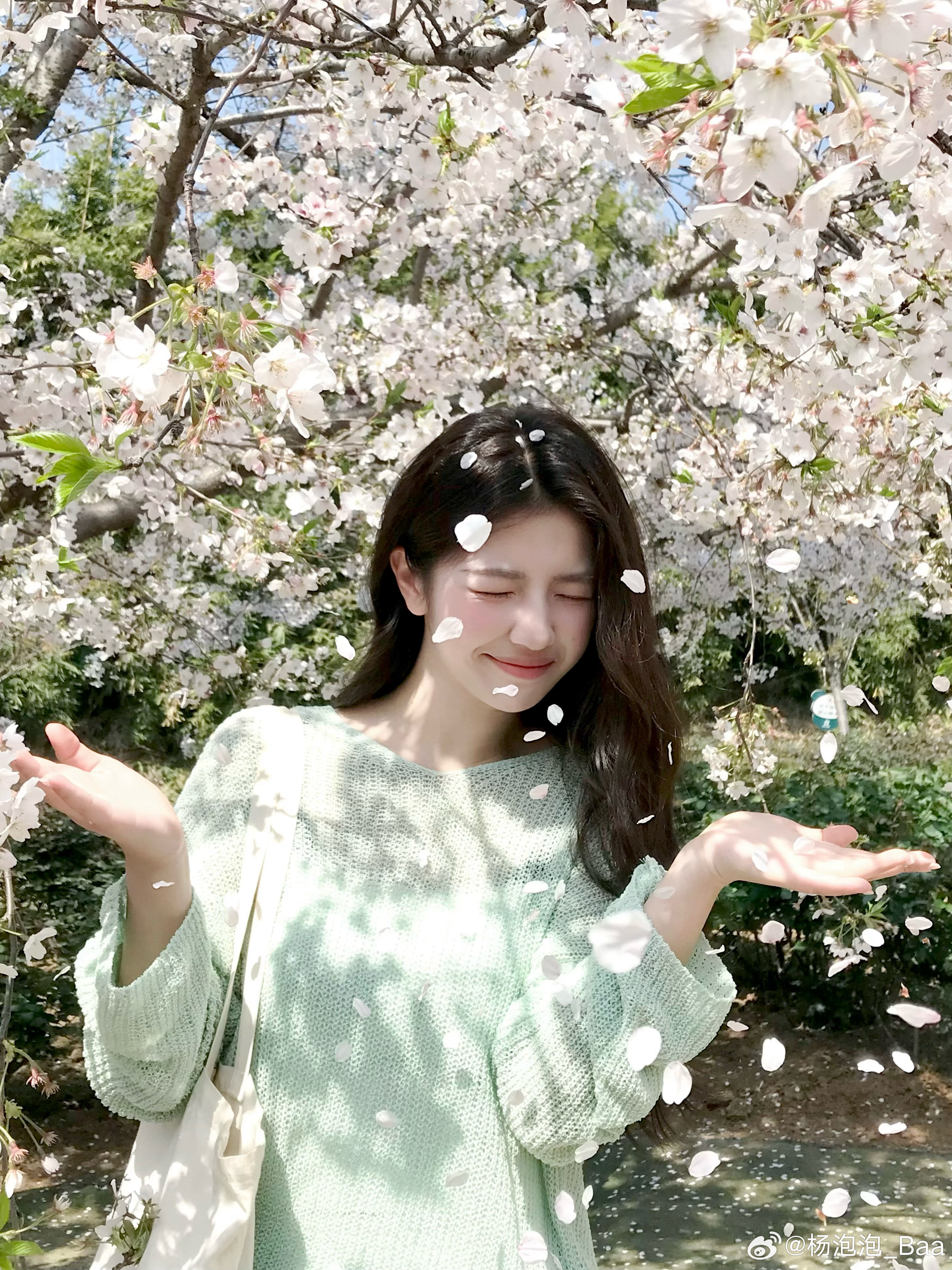 “春天是她最爱的季节🍃”樱花