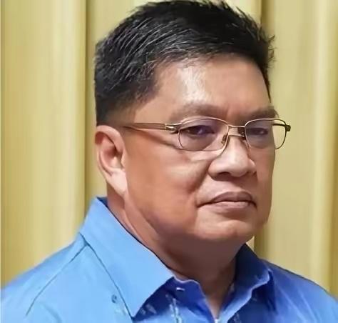 菲律宾海军前副司令罗梅尔·翁最近说了句大实话，把马尼拉那帮政客脸上那层"精致妆容