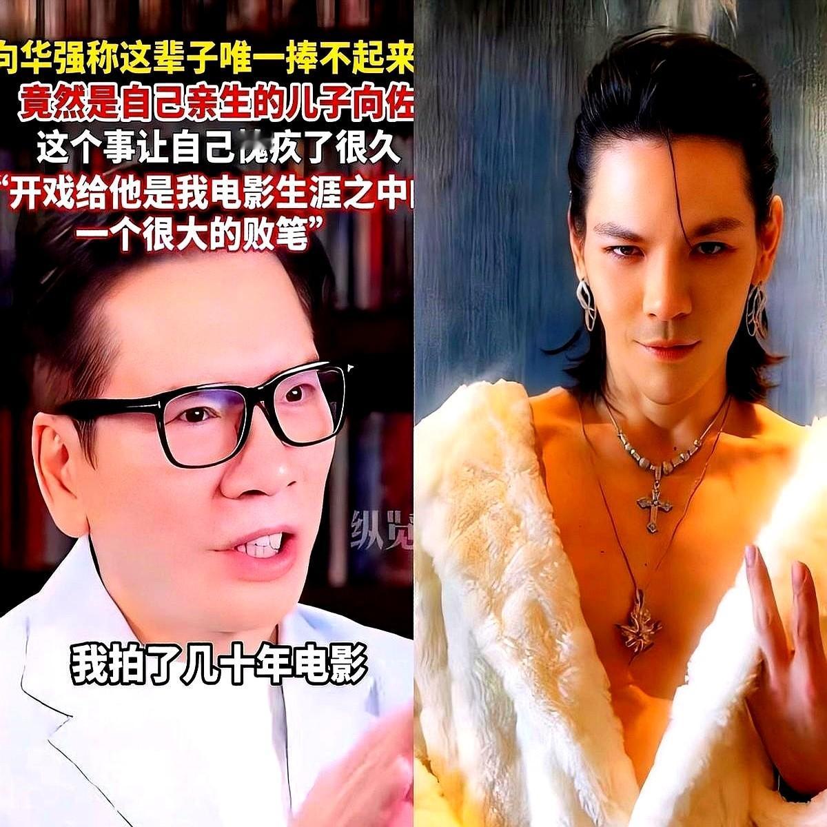 太烧钱了吧！向华强自曝为捧向佐亏了大几个亿，这事直接炸了圈！现在网上吵翻