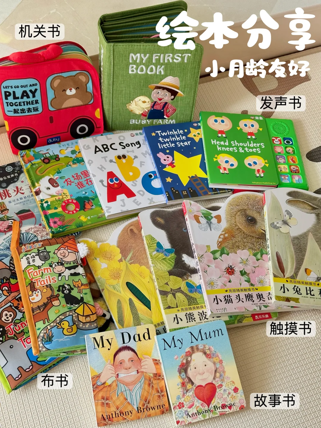 精简不踩雷！小月龄友好的中英文绘本分享📚