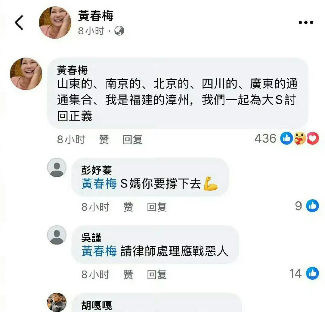 S妈称为大S讨正义，陶晶莹劝具俊晔争财产，台媒谴汪口径一致。???果然抚养权