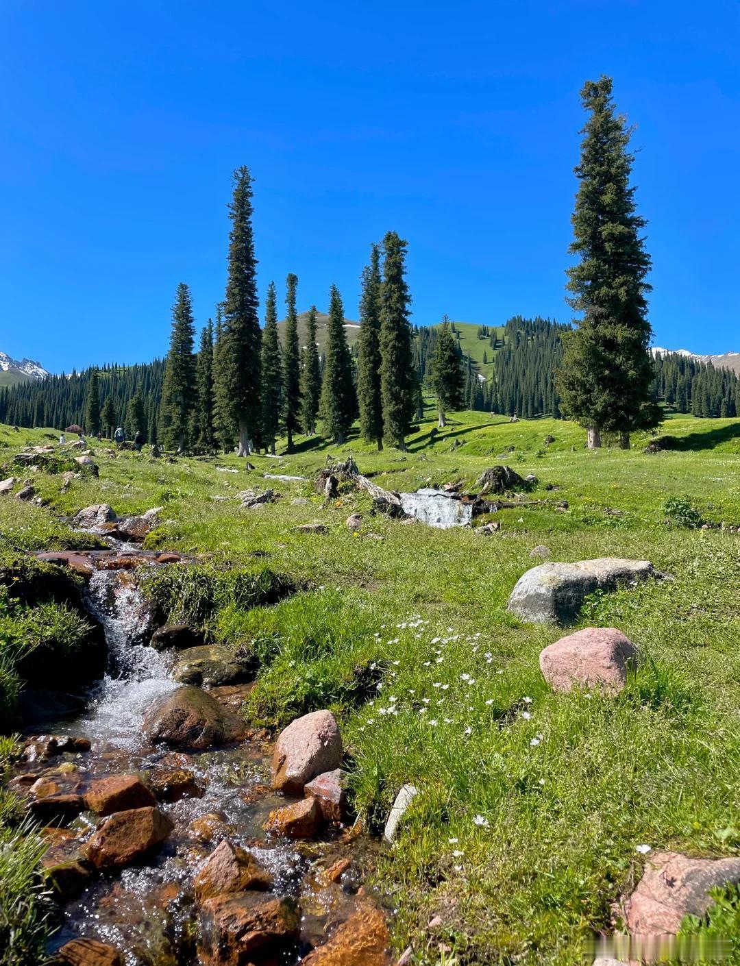 盛夏追光之旅微博旅行ing今年夏天一定要去一次伊犁，走到山野之间，看蓝色的湖泊嵌