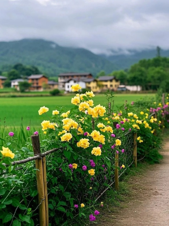 小桥流水人家，背靠青山春暖花开！​​​​