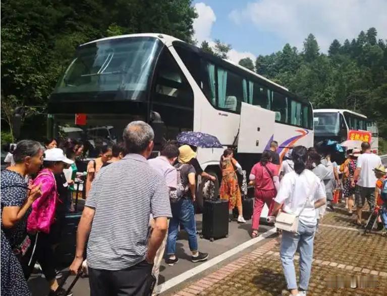 现在的旅行团接的基本都是清一色的老年团，很少看到年轻人跟团外出旅游。我一个做导游