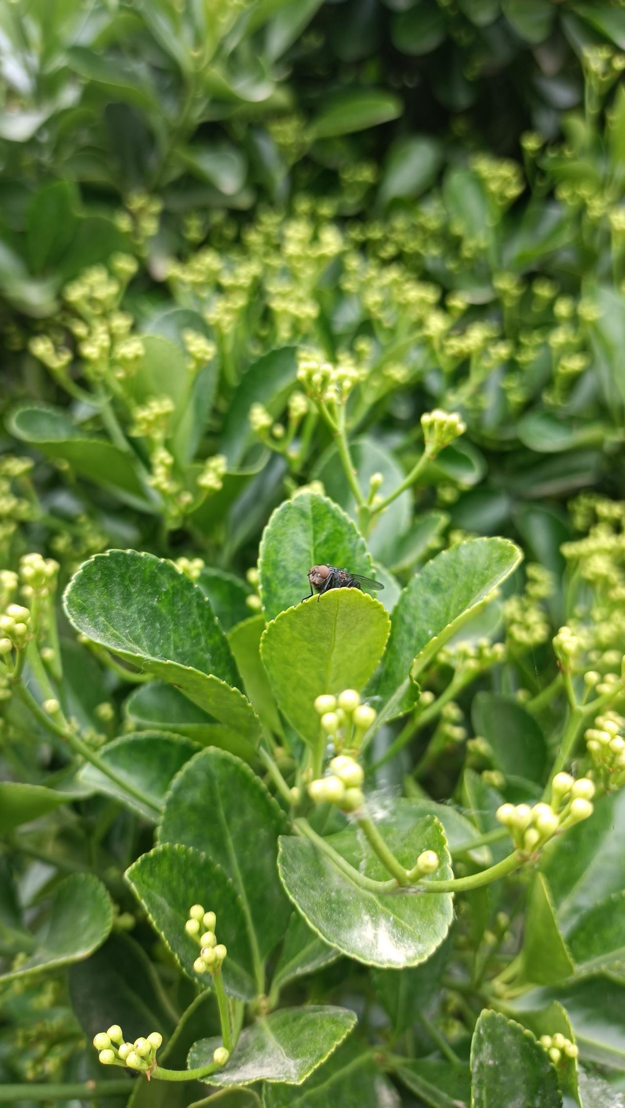 有钱了，就该看不起普通人吗？真有了钱，也不该把谁看扁。说到底，有钱人也是