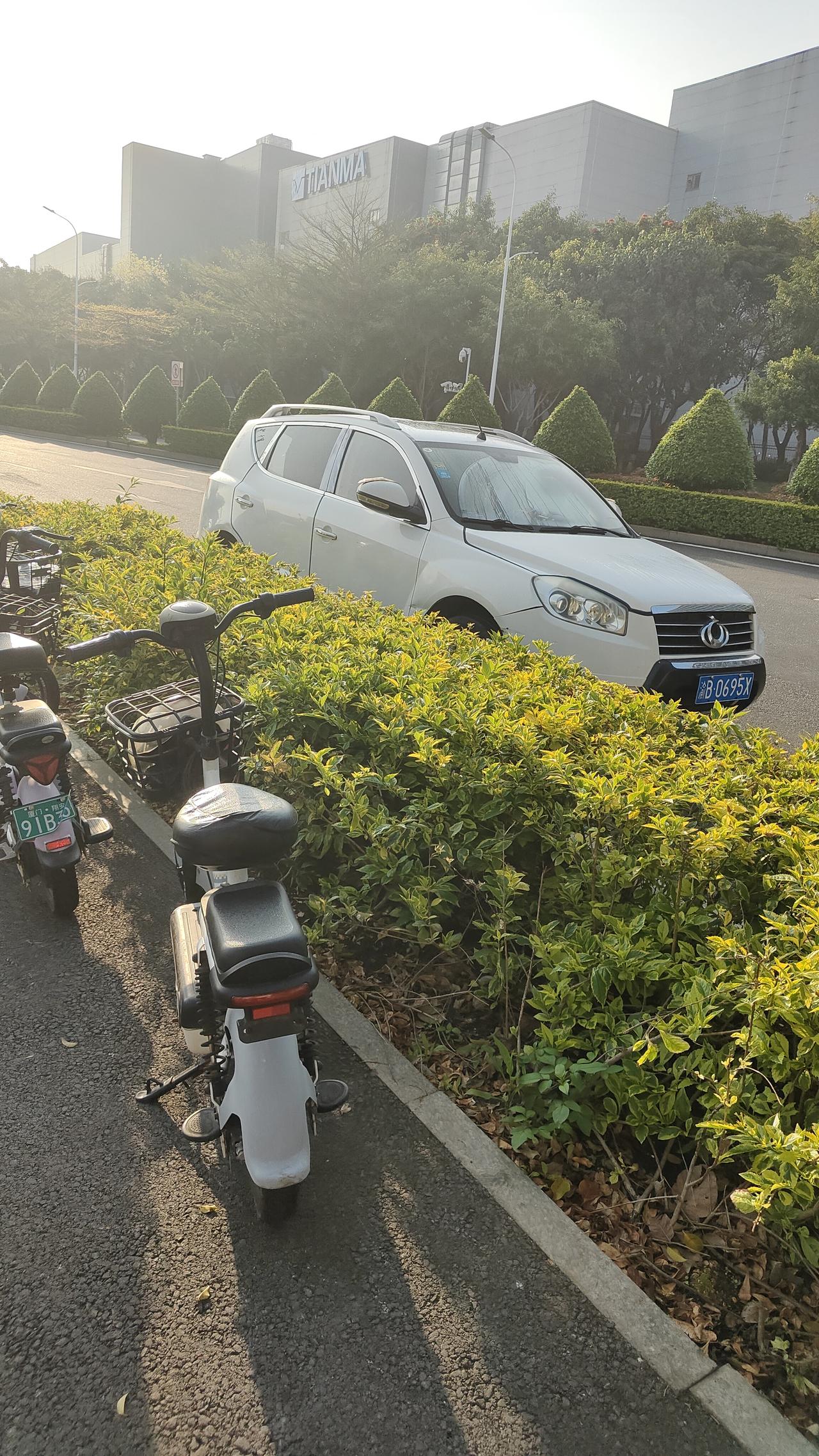 全车卤素灯的车还真的不少