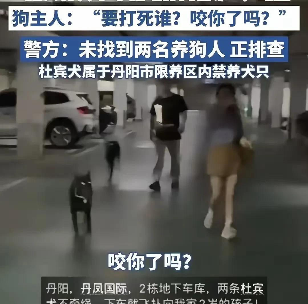 江苏丹阳市两名养狗人，他们养的两只杜宾犬出现在地下车库。由于没拴牵引绳，这让一名