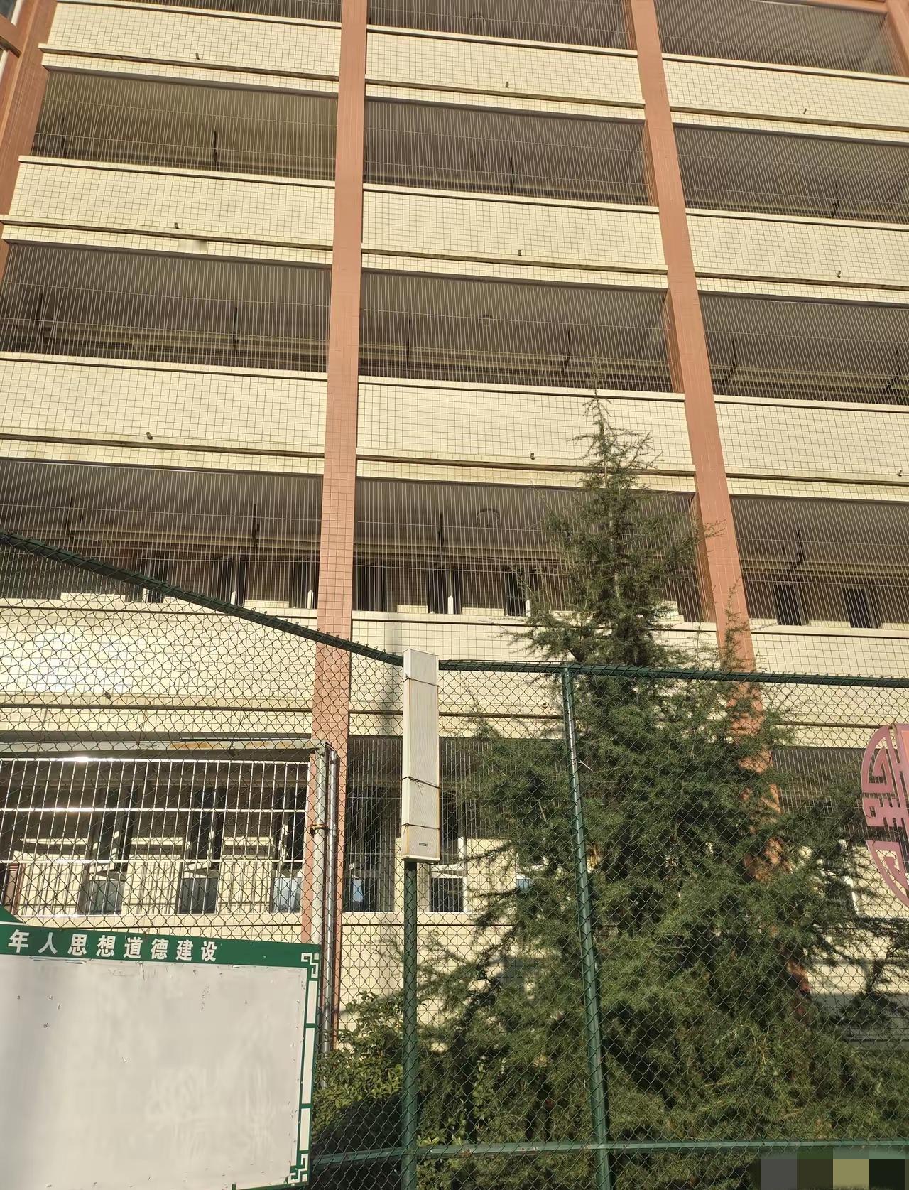 因为有一个学生上课玩手机，被老师收了，他就从教学楼五楼跳了下去，幸运的是，他落在