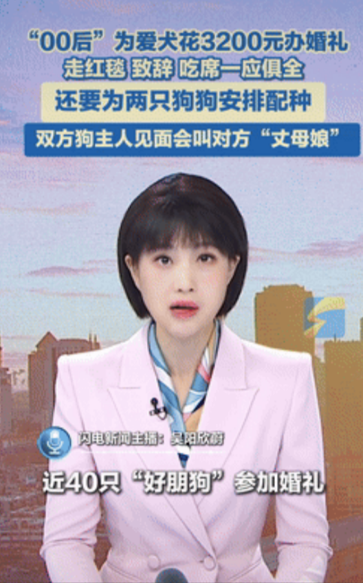 有钱真是任性！一00后女生花3200元给爱犬办婚礼，流程完全按照人类的婚礼走，走