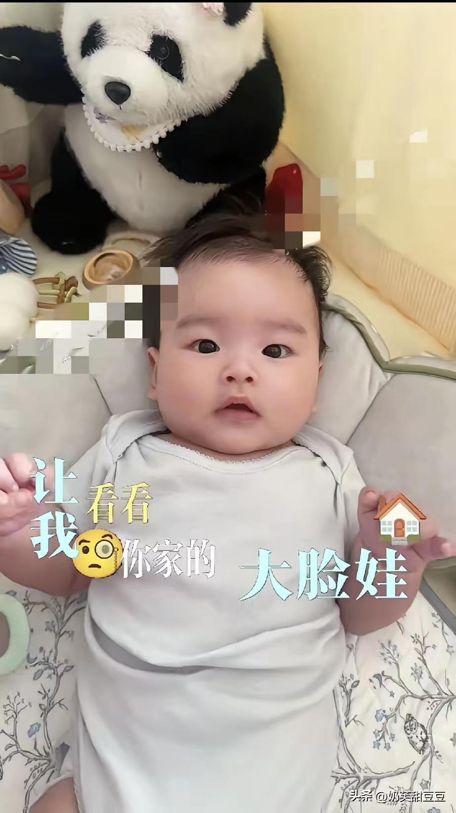 筱梅端午节晒汪宝正脸，这大胖宝宝好有福相！真的是越看越可爱！汪宝现在都已经三个半