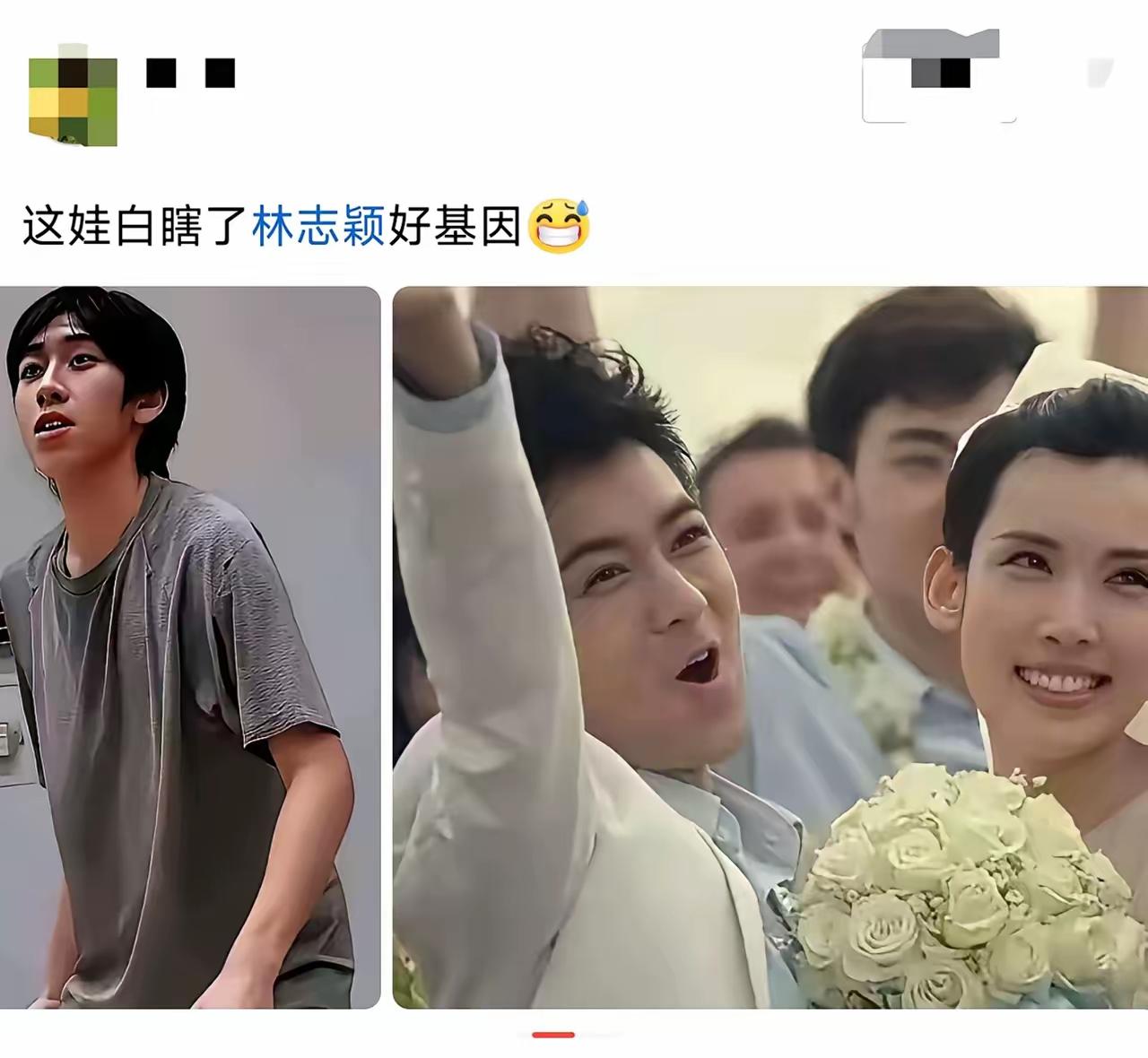 小志的老婆陈若仪说实话颜值一般林志颖可是当年的大帅哥啊真没有想到他怎么就娶