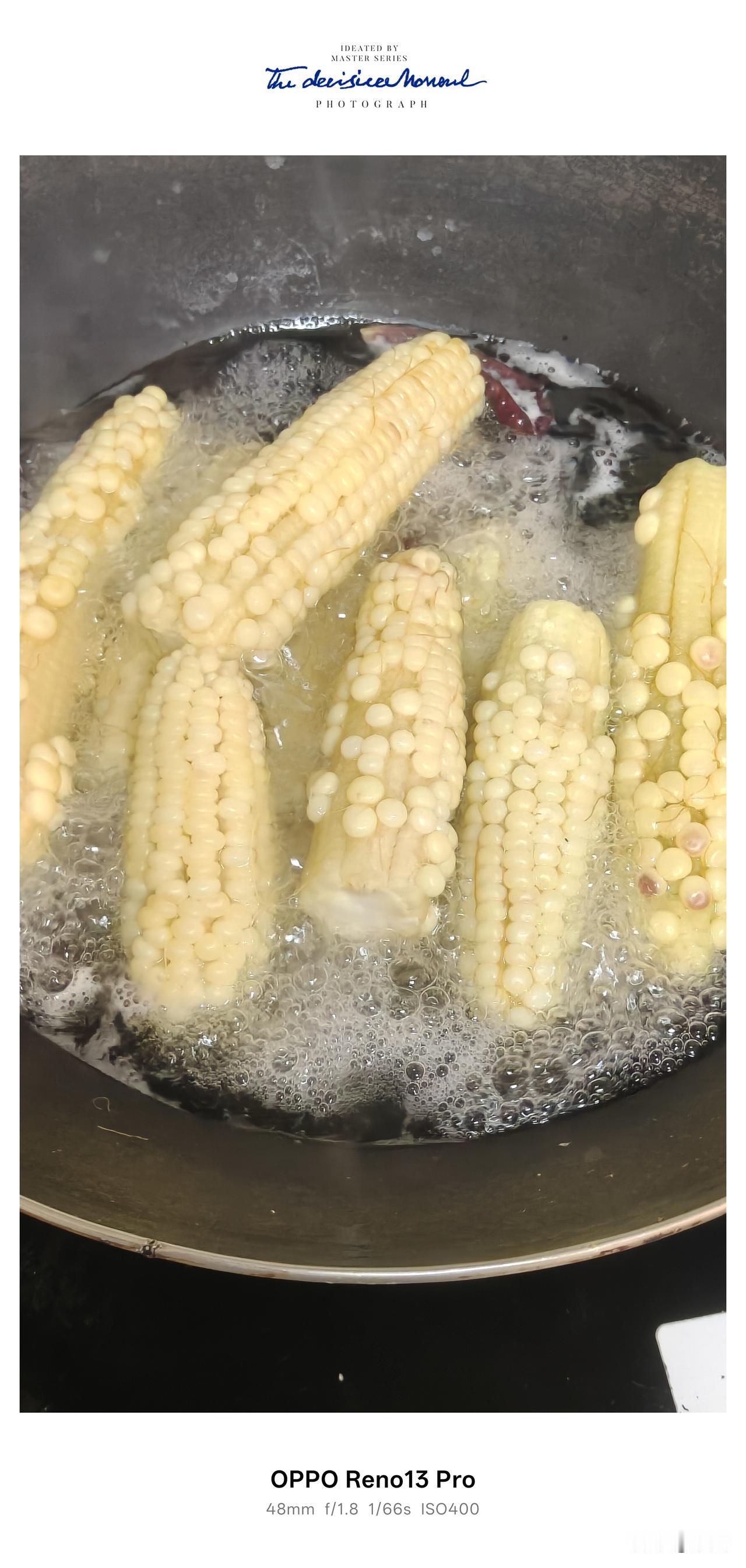隔壁的王老太昨天傍晚跟我拿了十几个这样的赖子包谷来，我一看心里就不悦，送人，好歹