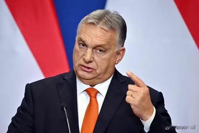 匈牙利总理欧尔班最近直接开怼：欧盟理事会的会议彻底变味了，现在全成了讨论怎么打仗