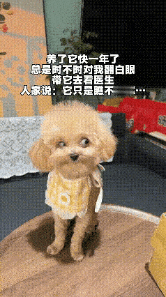 说实话如果不是天生斜眼的话这眼神一般人都受不了[捂脸哭]